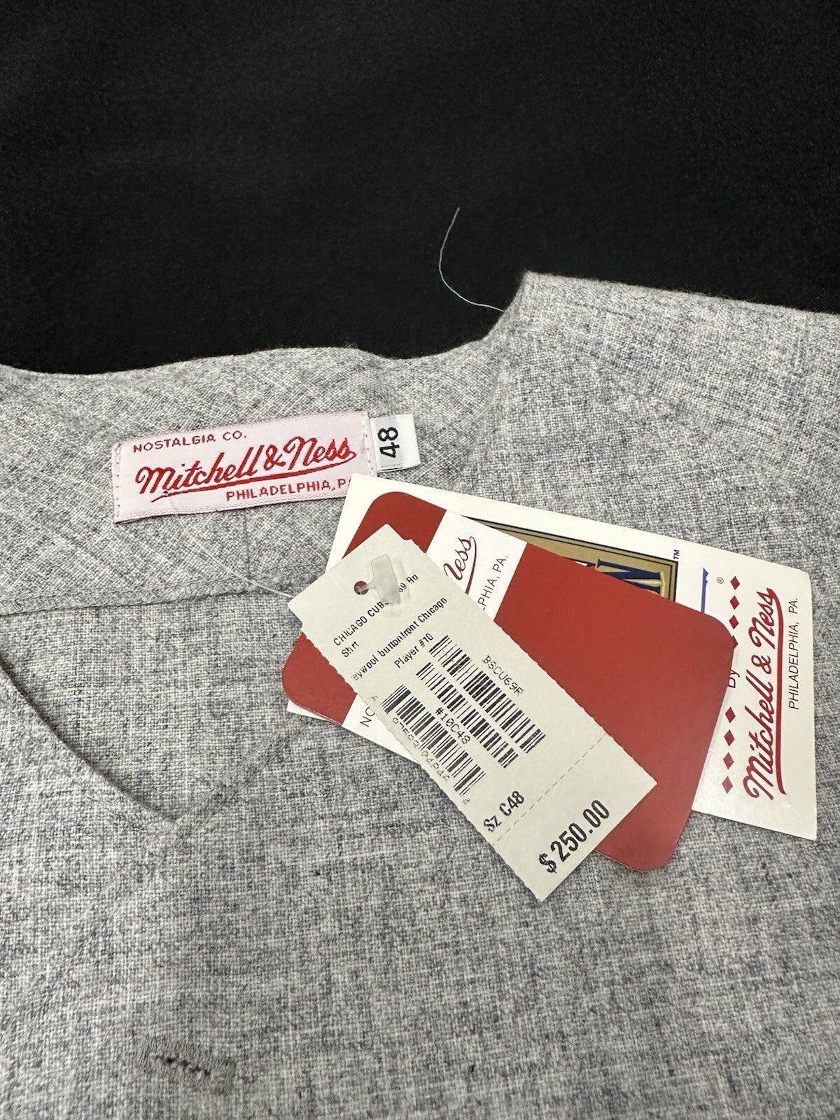 Ron Santo Signed Cubs Mitchell Ness Jersey JSA