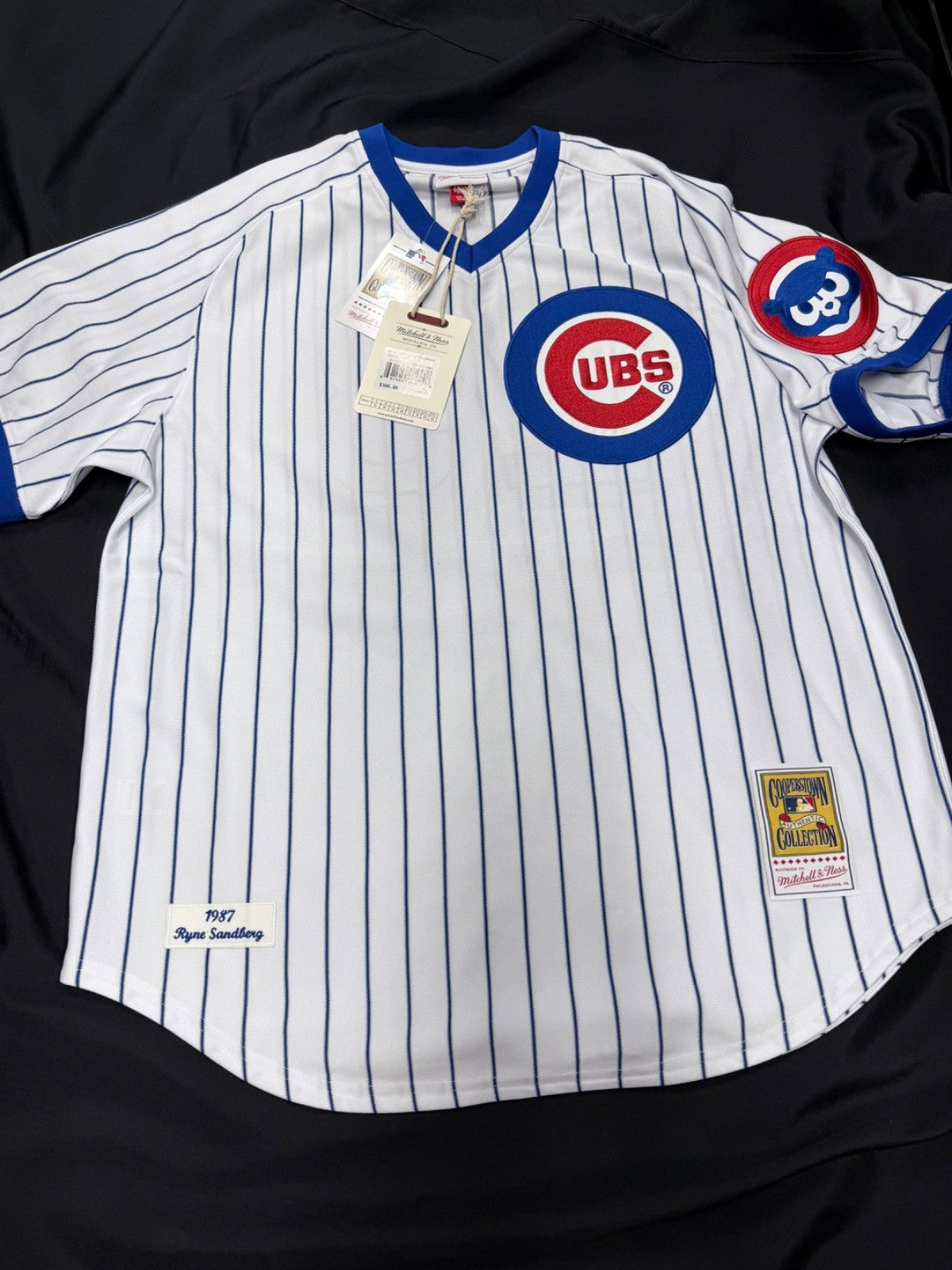 Ryne Sandberg Signed Authentic Cubs M&N Jersey with Stats TRISTAR