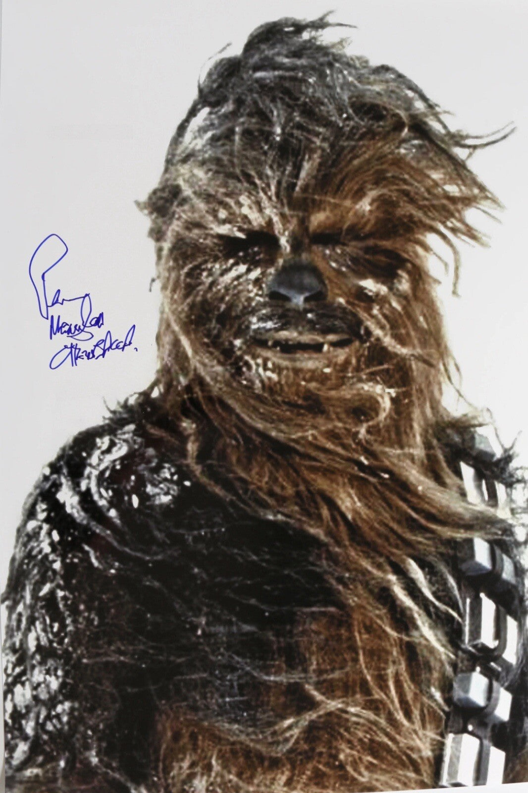 Peter Mayhew Chewbacca Signed Star Wars: ESB 20x30 Photo SWAU