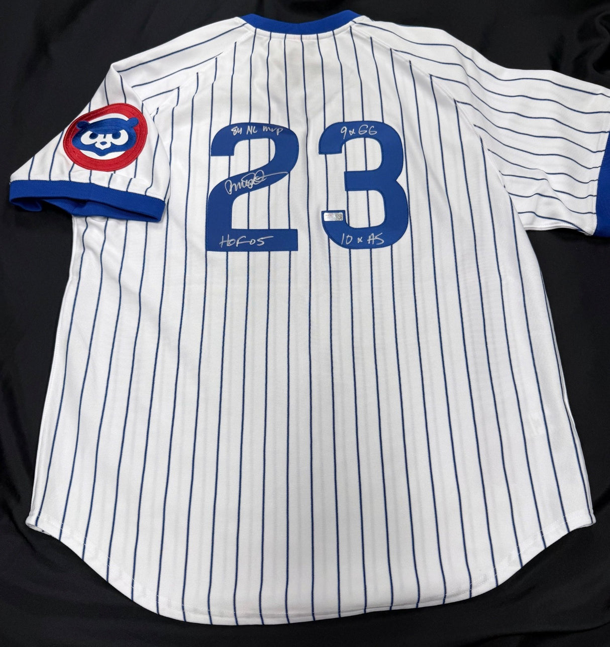 Ryne Sandberg Signed Authentic Cubs M&N Jersey with Stats TRISTAR