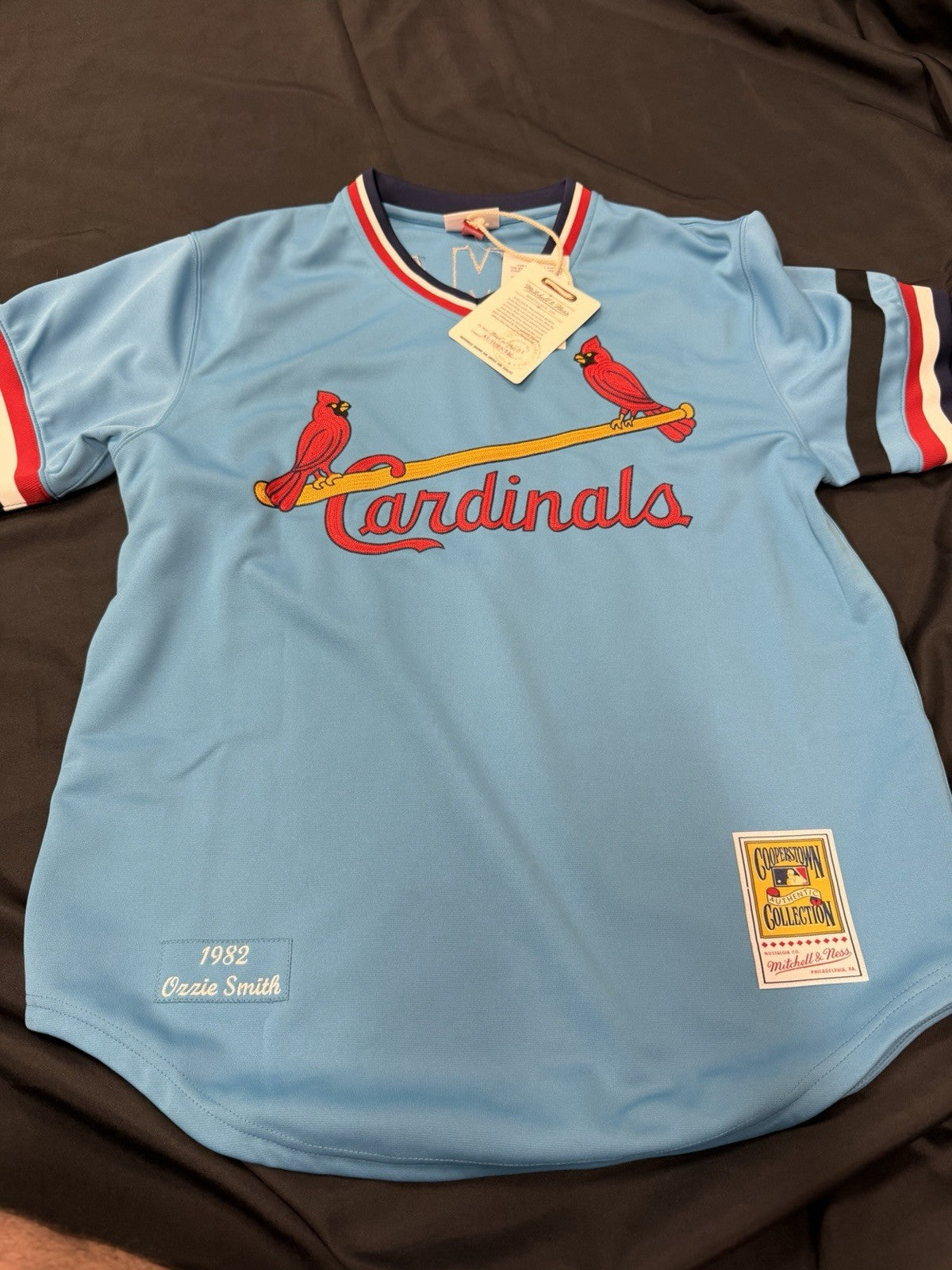 Ozzie Smith HOF 02 Signed Authentic Cardinals M&N Jersey Fanatics MLB Holo