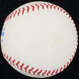 Marc Cohn Signed Baseball PSA/DNA