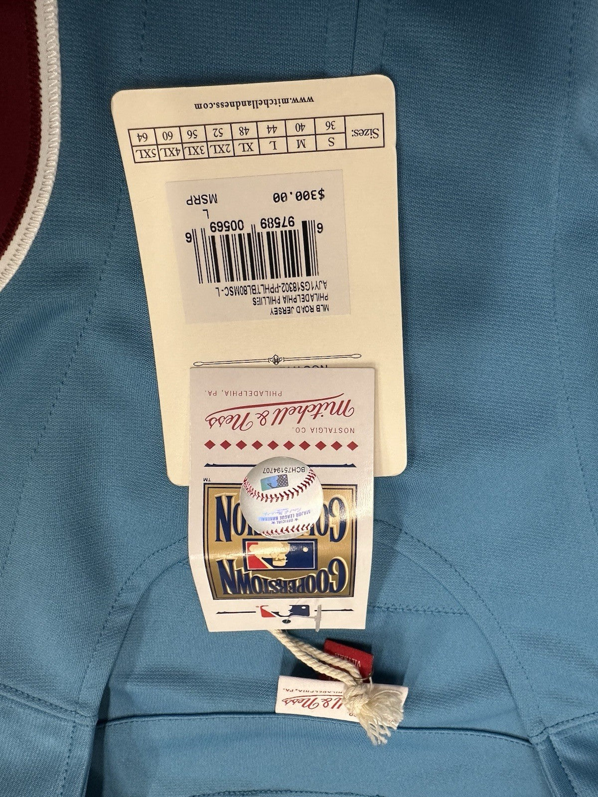 Mike Schmidt Full Name Signed Phillies Mitchell Ness Stat Jersey JSA Witness