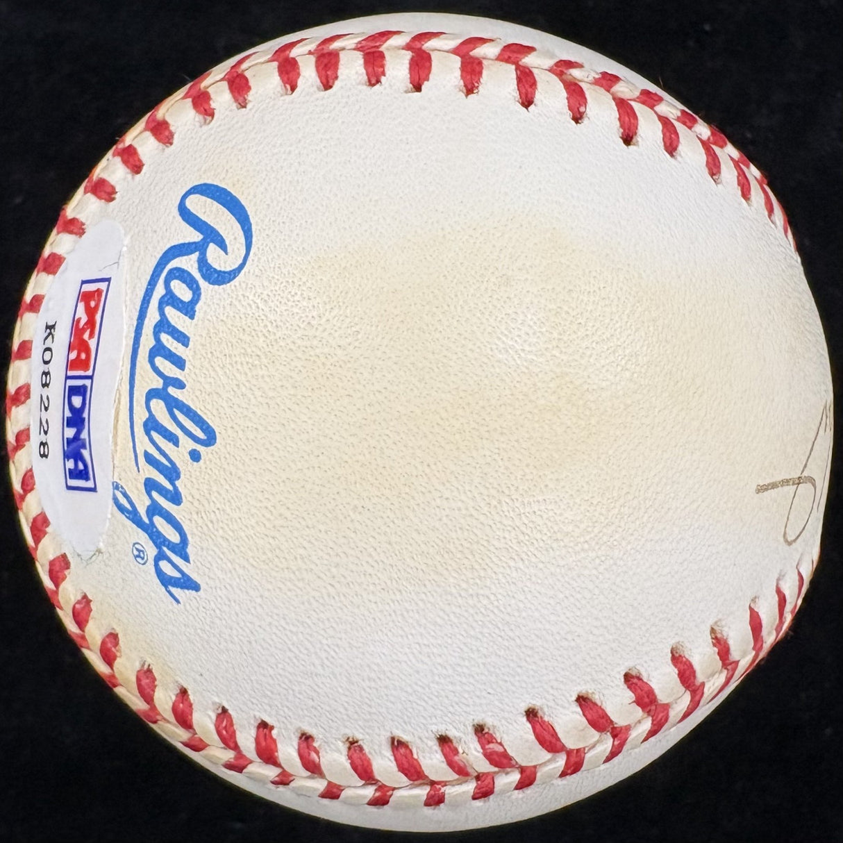 Payne Stewart Signed Baseball PSA/DNA