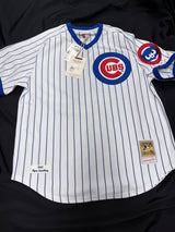 Ryne Sandberg Signed Authentic Cubs M&N Jersey with Stats TRISTAR