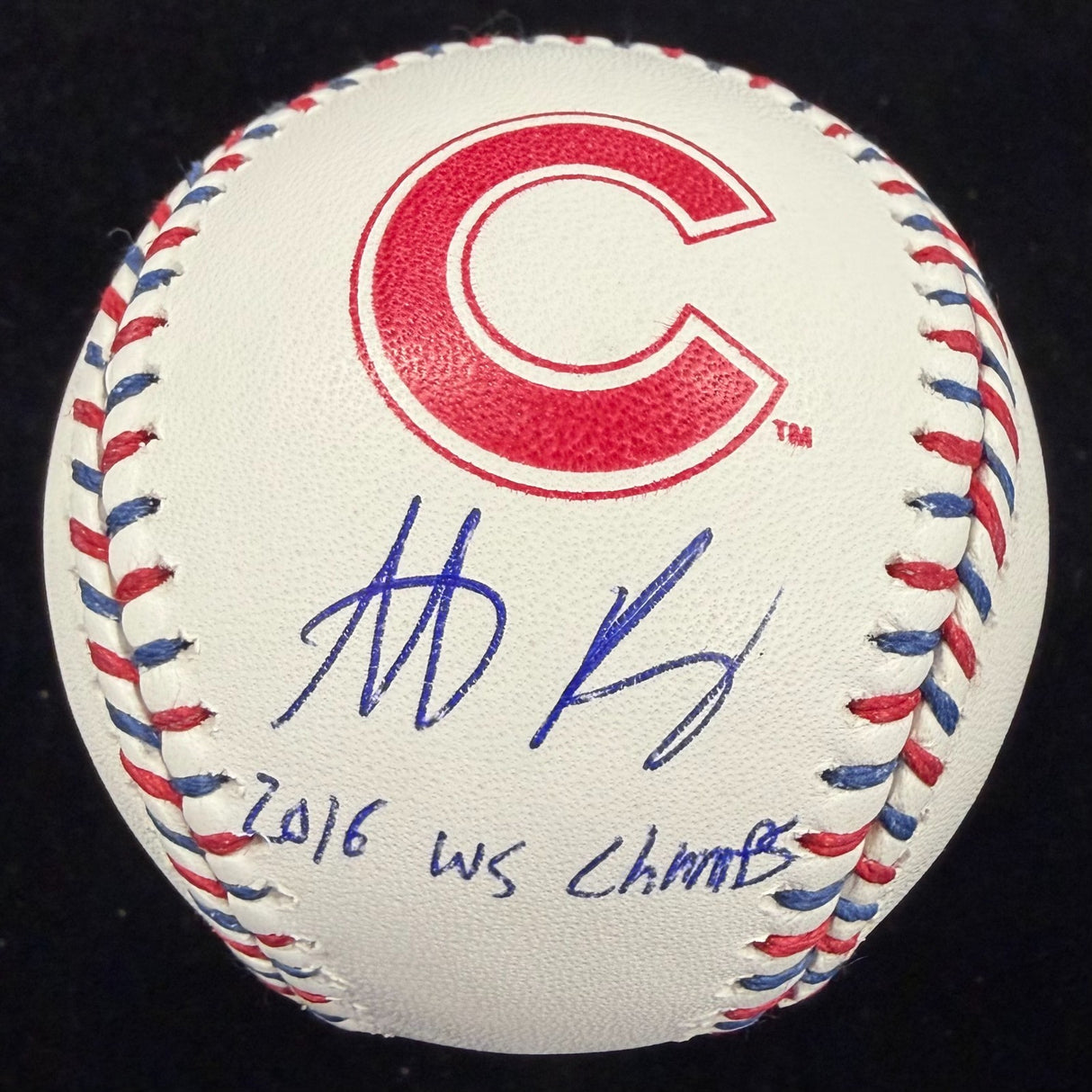 Anthony Rizzo 2016 WS Champs Signed Cubs Team Stitch Logo MLB Holo Fanatics