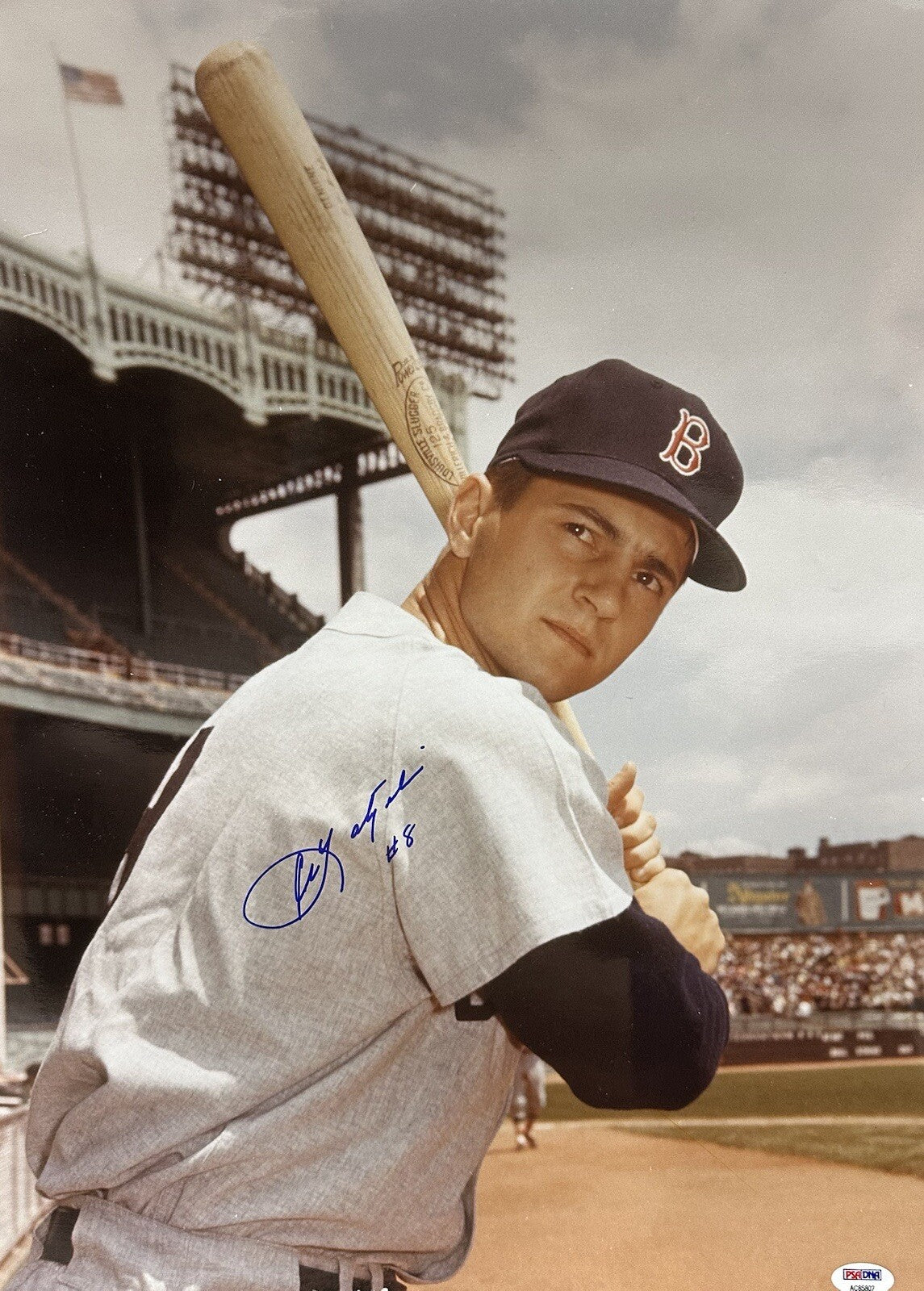 Carl Yastrzemski #8 Signed Boston Red Sox 16x20 Photo PSA Holo Only