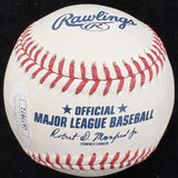 Calvin Johnson Signed Baseball JSA