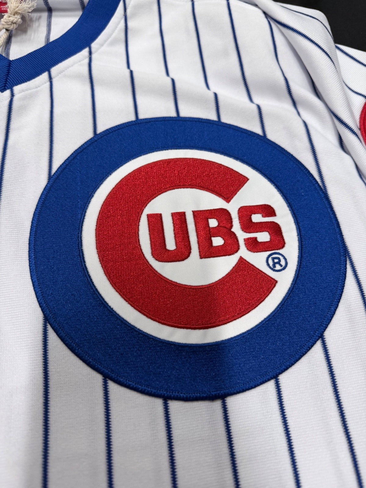 Ryne Sandberg Signed Authentic Cubs M&N Jersey with Stats TRISTAR