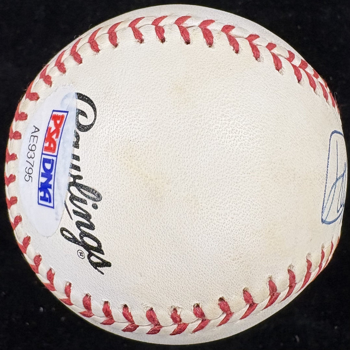 Roy Clarke Signed Baseball PSA/DNA